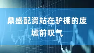 鼎盛配资站在驴棚的废墟前叹气