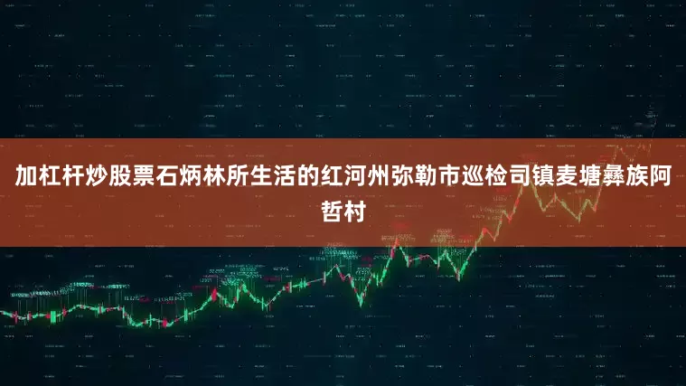 加杠杆炒股票石炳林所生活的红河州弥勒市巡检司镇麦塘彝族阿哲村
