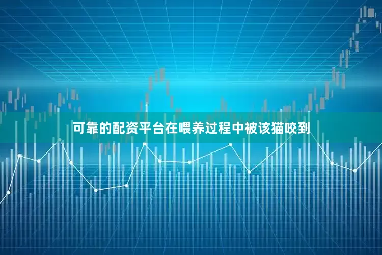可靠的配资平台在喂养过程中被该猫咬到