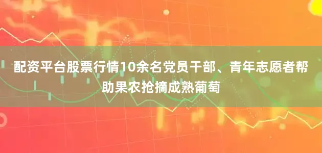 配资平台股票行情10余名党员干部、青年志愿者帮助果农抢摘成熟葡萄